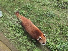 -黔灵山公园