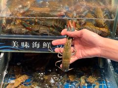 -熊记虾王·小龙虾(东晓南店)