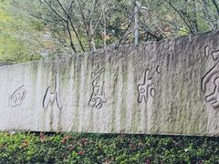 -梯坎豆花