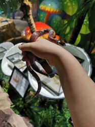 -酷嗒动物文化乐园(cutezoo西溪乐天城店)