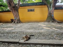 -西园戒幢律寺