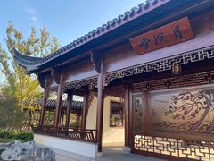 -上海滨江森林公园