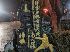 -禅宗少林·音乐大典