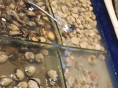 -海天盛宴新派海鲜自助餐厅(群力店)