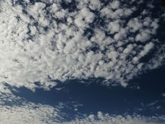 -王府井百货(中州中路店)