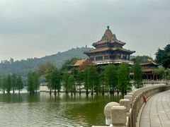 -顺峰山公园