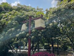 -塔子山公园