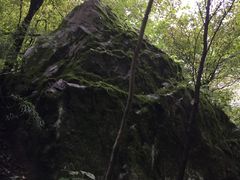 -青峰峡国家森林公园