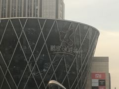 -鹏欣水游城