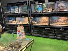 -FAIRYLAND龙族星球主题餐厅(凯丹广场店)