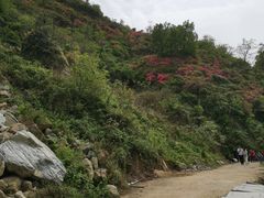 -木兰云雾山