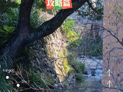 -杨家堂村
