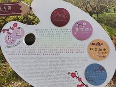 -花开海上生态园