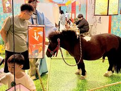 -宁波国际会展中心