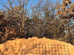 -沈阳辉山风景区