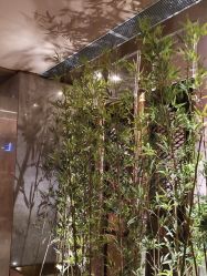 -盘子女人坊古装写真摄影(南京总店)