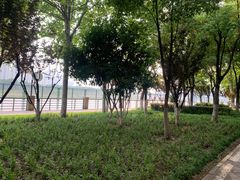 -汉江湾体育公园
