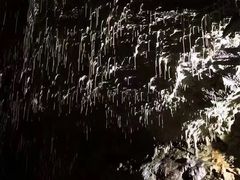 -波斯托伊纳溶洞