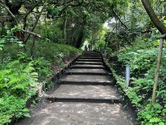 -秋叶原电器街