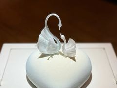 -BLACKSWAN黑天鹅(新希望店)