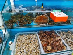 水产区-港畔赶海蒸汽海鲜烧烤自助(仙螺岛店)