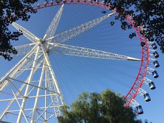 -哈尔滨文化公园