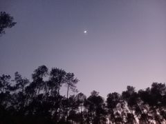 -三门江国家森林公园