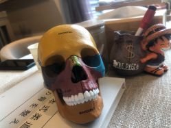 -小林日式·小颜整骨院