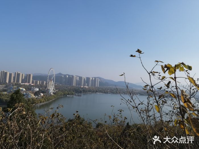 济南国际园博园图片