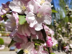 -元大都城垣遗址公园