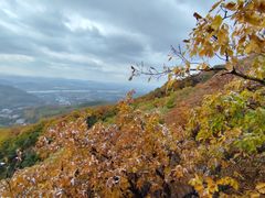 -吉林市朱雀山国家森林公园