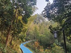 -明月山天沐温泉度假村