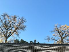 -金堂县云顶石城风景区