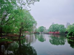 -郑州植物园
