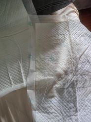 -瑞晨曦催乳产后健康(枣园店)