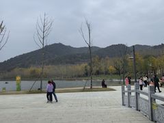 -千年银杏谷文化旅游区