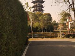 -洋湖国家湿地公园