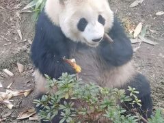 -武汉动物园