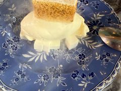 -O'eat Blossom&Pelican(深圳首店)