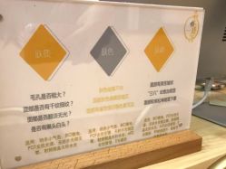 -晶禾臻语·问题肌研究所