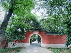 -灵谷景区