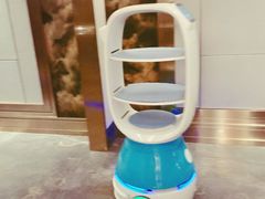 送菜机器人-富黎华海鲜大酒楼(正大广场店)