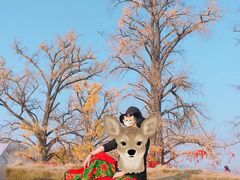 -千年银杏谷文化旅游区