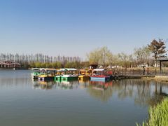 -上海长兴岛郊野公园