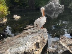 -昆明动物园
