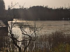 -白鹭湾湿地公园