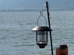 -六阅·福十 FORTEN 海景咖啡西餐厅(双廊古镇店)