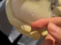 -肆月河豚·淮扬菜·湘菜(华天店)
