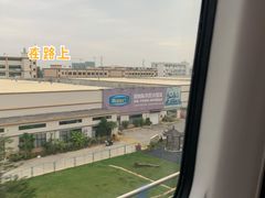 -又鸟pizza海南鸡饭(假日广场店)