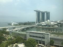 -新加坡文华东方酒店